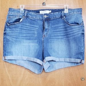 Torrid denim shorts size 24